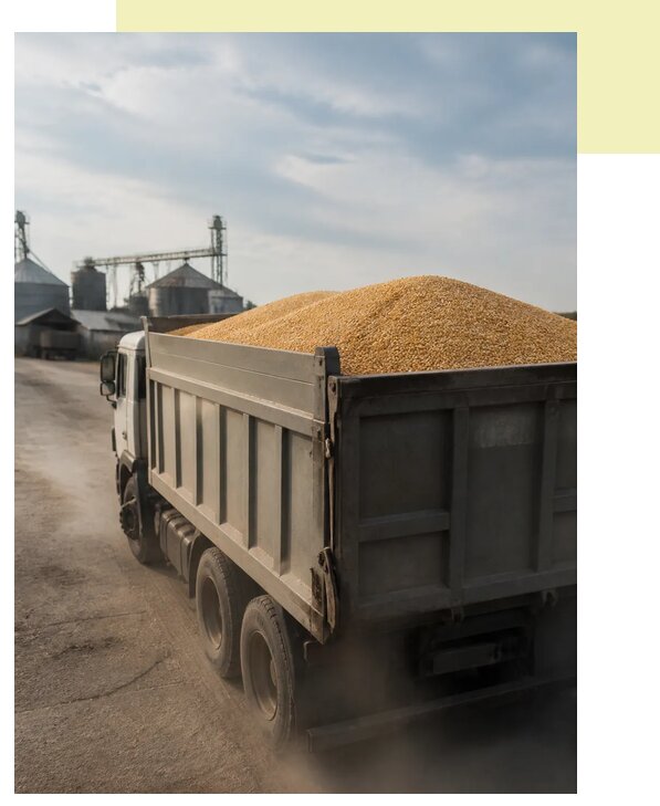 Перевозка сельхозпродукции навалом в Елец по цене от 3080 р. | Агросервис-Елц